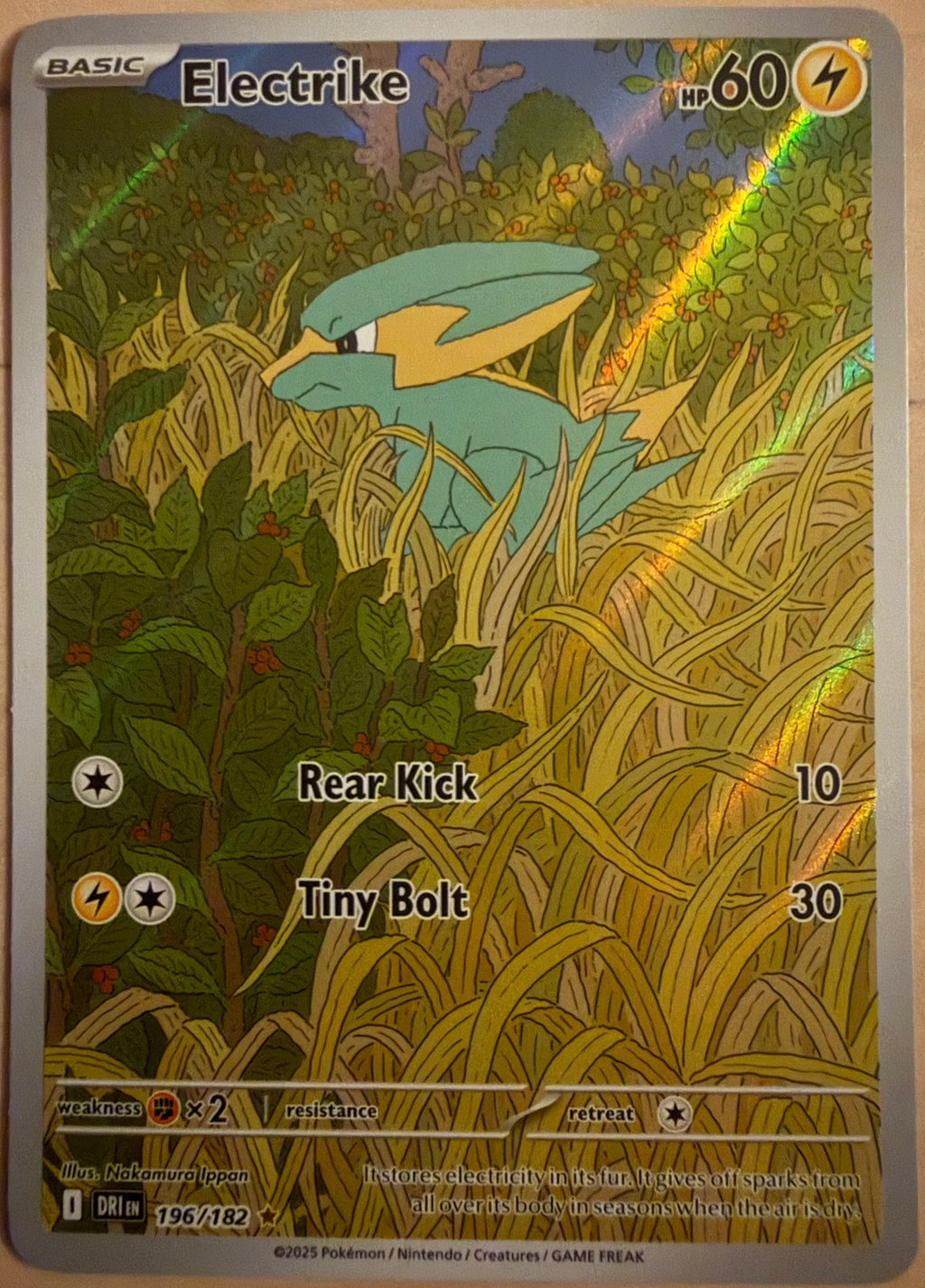 Electrike 196/182 – Destined Rivals | Illustration Rare